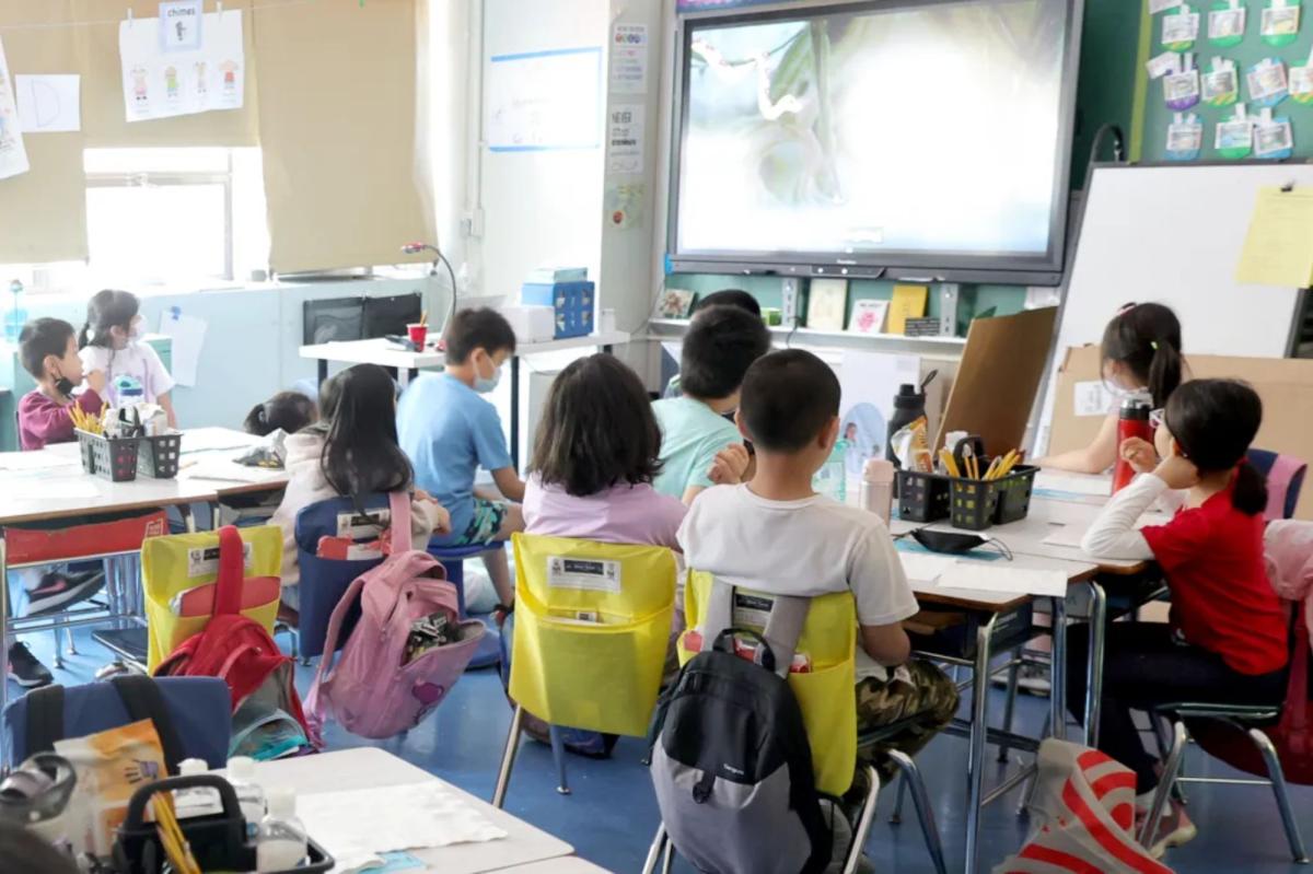 NYC's AI in schools policy is first step in prying children away from the grips of Big Tech — it may come just in time