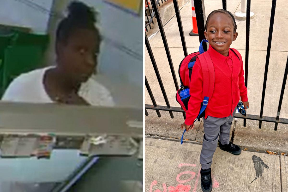 NYC nut who tried to kidnap 4-year-old off street has disturbing past: authorities