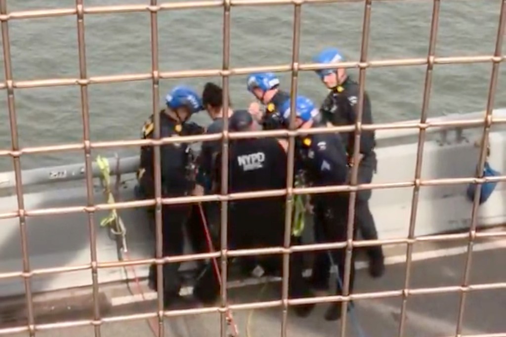 NYPD officers hoisting someone to safety on the Williamsburg Bridge.