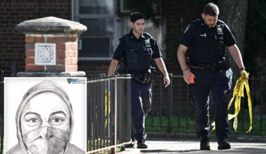 Masked 'total stranger' rapes woman making package delivery in brutal attack after hitting her with gun: cops, sources