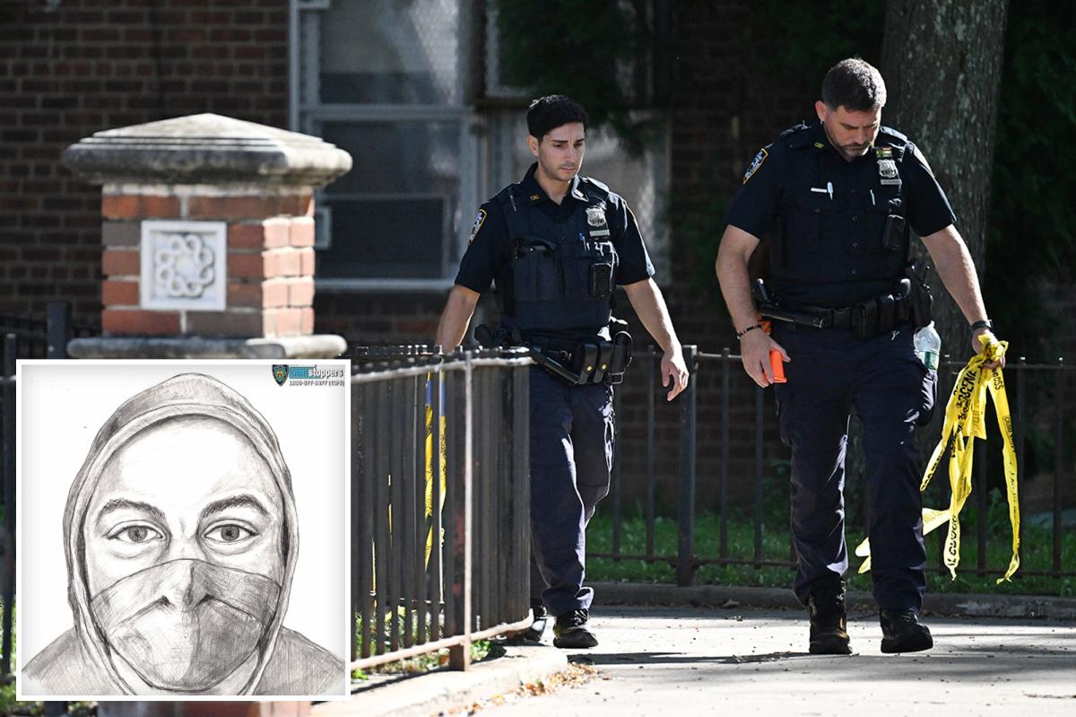 Masked 'total stranger' rapes woman making package delivery in brutal attack after hitting her with gun: cops, sources