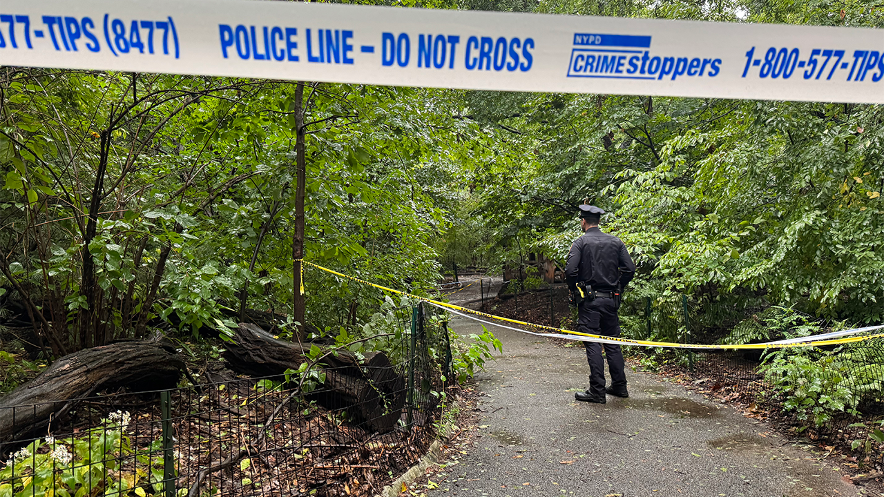 Woman found dead in Central Park as police race to solve mystery
