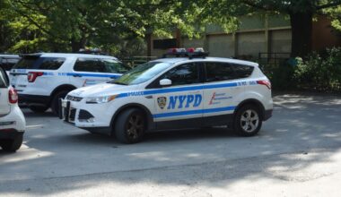 24-Year-Old Man Fatally Shot Inside Park in Downtown Brooklyn; Police Searching For Suspect