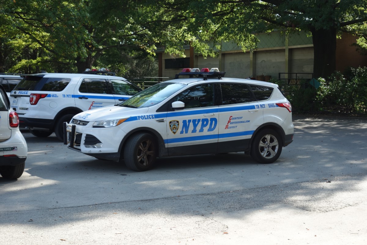 24-Year-Old Man Fatally Shot Inside Park in Downtown Brooklyn; Police Searching For Suspect