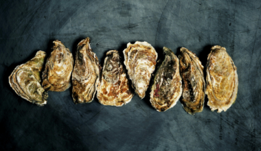 New York is rebuilding its dead oyster reefs with shells scraped off restaurant plates, and more than 100 million live oysters are already back in the harbor filtering the water, in a city where the reefs were once so thick that ships had to steer around them