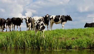Beef Experts Convene In Manhattan To Address Industry Changes