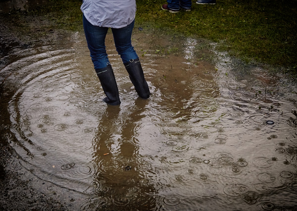 NYS Fair Flooding Forces Temporary Gate Closure