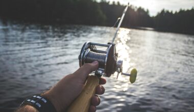 Fish For Free In New York State, No License Required Sept. 26th