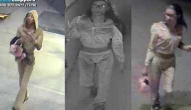 Woman wanted for using broomstick to attack man, 70, in the Bronx