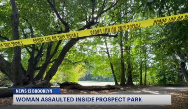 News 12 | Brooklyn | Nypd Special Victims Unit Investigates Attack Inside Prospect Park Sources Say