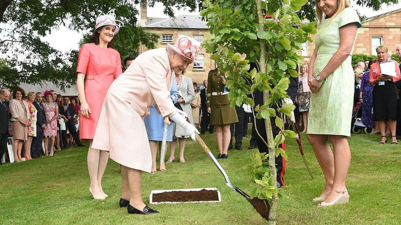 PC: BBC Queen Elizabeth II launched the tree-planting project in 2021