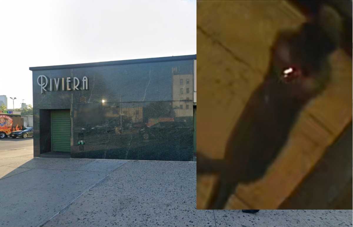 gunman in queens shooting outside strip club