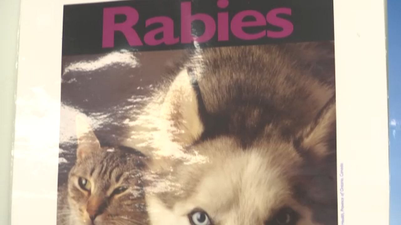 A rabies poster