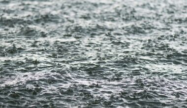Governor Hochul Launches FloodSafe NY to Build More Resilient Communities | Governor Kathy Hochul