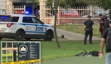 Maniac beats man to death with two-by-four in Queens park: sources