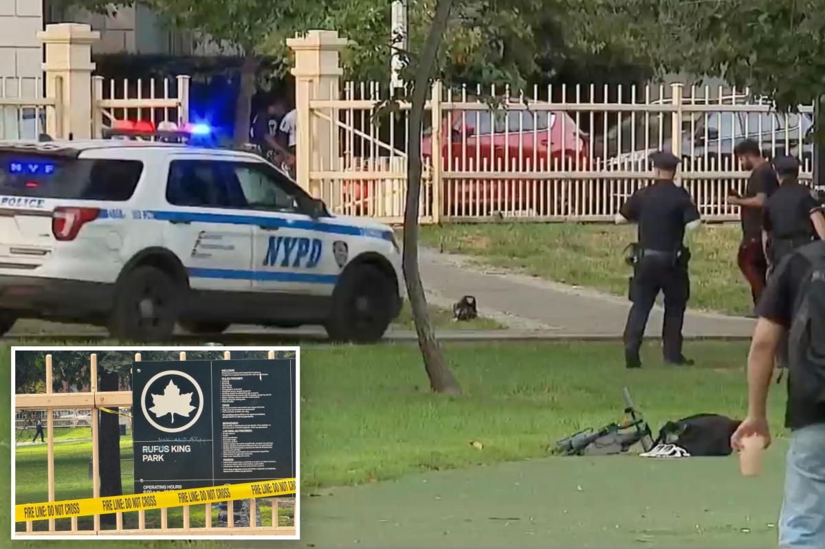 Maniac beats man to death with two-by-four in Queens park: sources