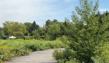 Williamsburg's former Naval Cemetery becomes NYC's first internationally accredited botanic garden