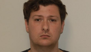 Hamburg man arrested for sex crimes against children