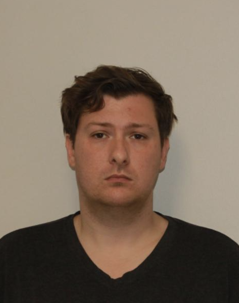 Hamburg man arrested for sex crimes against children