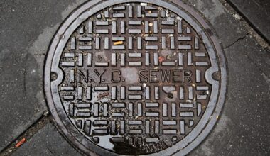 Man seeing emerging from manhole in Queens and running off with four others