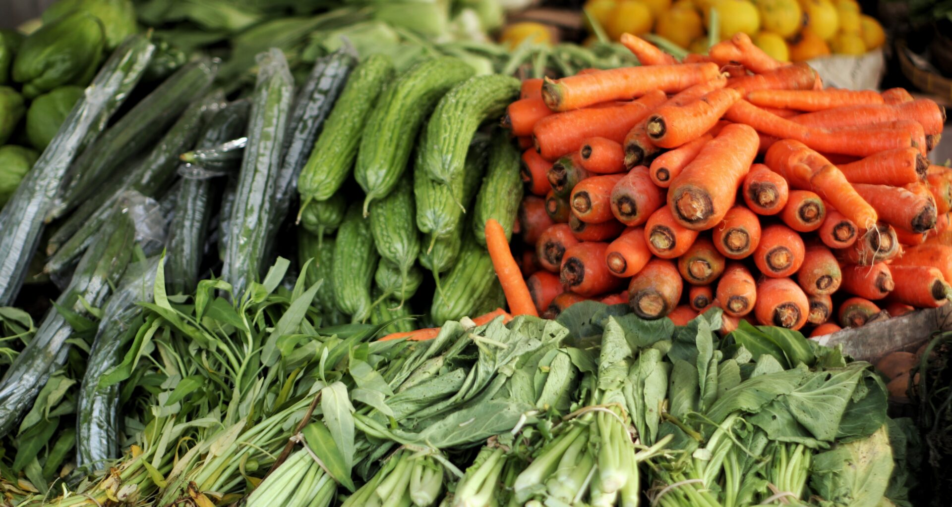 State Agriculture Department Announces Newly Revamped Nourish New York Portal to Better Connect New York's Food Organizations to New York Farmers