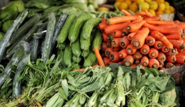 State Agriculture Department Announces Newly Revamped Nourish New York Portal to Better Connect New York's Food Organizations to New York Farmers