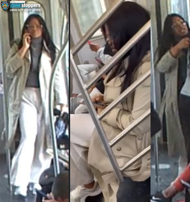 News 12 | Bronx | Woman Violently Assaulted With Umbrella On Subway Train