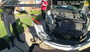 Video shows snake hauled from car grille in New Jersey – NBC New York