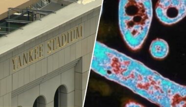 Yankees say Legionella bacteria found in stadium cooling tower not linked to outbreak – NBC New York