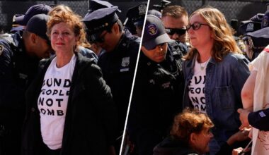 Susan Sarandon, Hannah Einbinder among UN protesters arrested – NBC New York