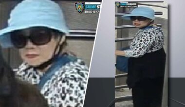 Woman allegedly taking 6-year-old from mom at NYC subway station – NBC New York