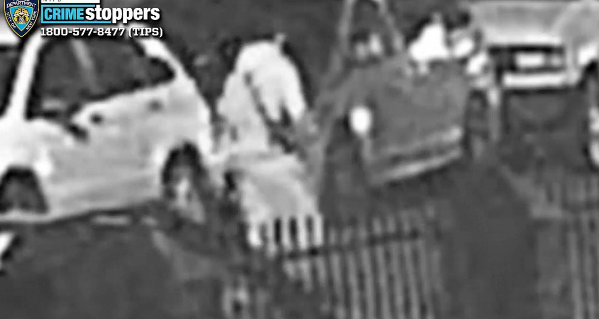 Teens on motorcycle crash in Brooklyn during chase, 1 stabbed by driver, the other critically hurt