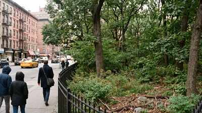 In 1965, an artist proposed restoring Manhattan’s lost native woods on one street corner; by 1998, the small pre-colonial forest had become a protected city landmark