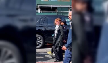 Susan Sarandon, Hannah Einbinder among more than 100 detained during anti-Netanyahu protest outside UN
