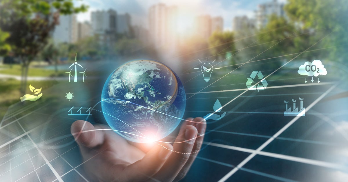 'It Is Not Yet Too Late': Manhattan University Launches Sustainability Studies Minor as Pope Leo Calls for Care of Creation
