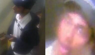 Man gropes, punches and robs woman, 20, in Bronx elevator: police
