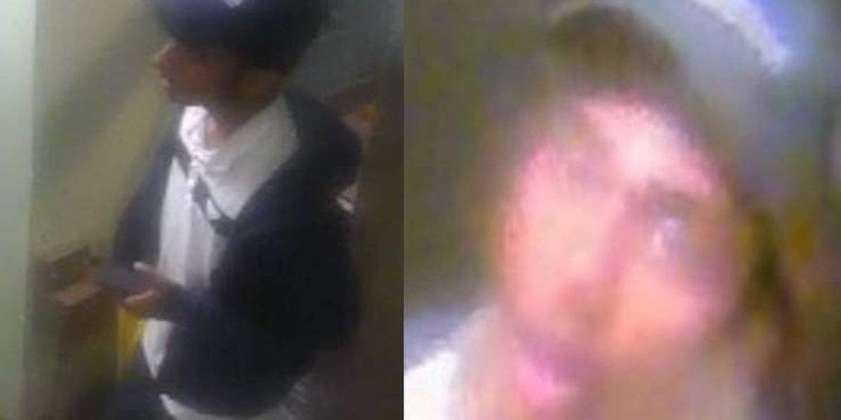 Man gropes, punches and robs woman, 20, in Bronx elevator: police