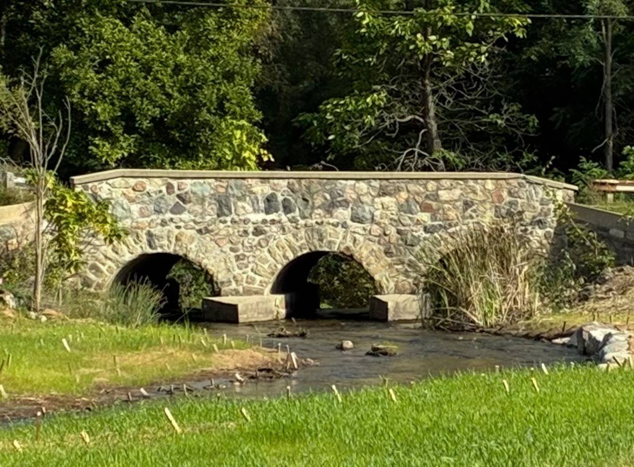 The River Raisin project aims to improve fish movement and restore native vegetation in Brooklyn, Michigan. (Photo: Natalie Davies) The River Raisin project aims to improve fish movement and restore native vegetation in Brooklyn, Michigan.