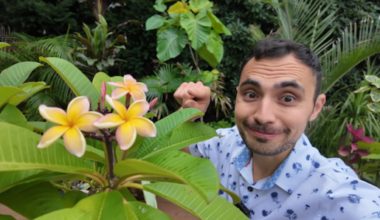 News 12 | Brooklyn | How To Keep Bugs Out When You Bring Your Favorite Patio Plants Inside The House This Winter