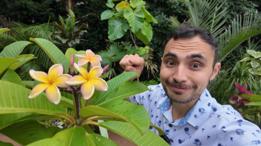 News 12 | Brooklyn | How To Keep Bugs Out When You Bring Your Favorite Patio Plants Inside The House This Winter