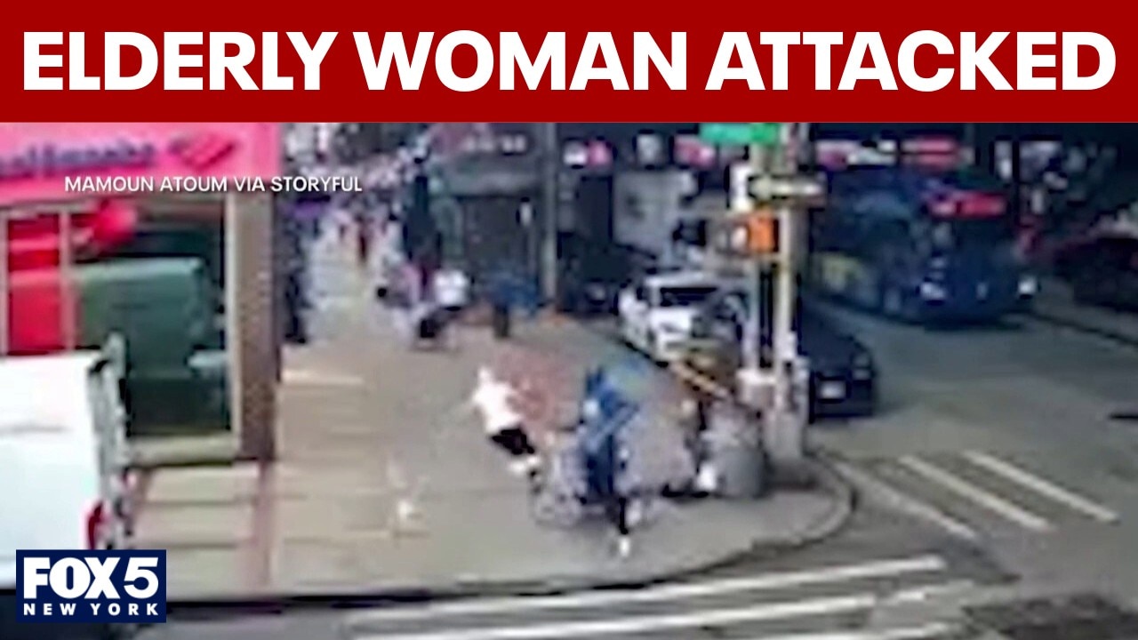 Elderly Brooklyn woman attacked in shocking surveillance video