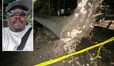 NYC NYCHA worker killed in nor'easter by falling tree just spoke about life's unpredictability