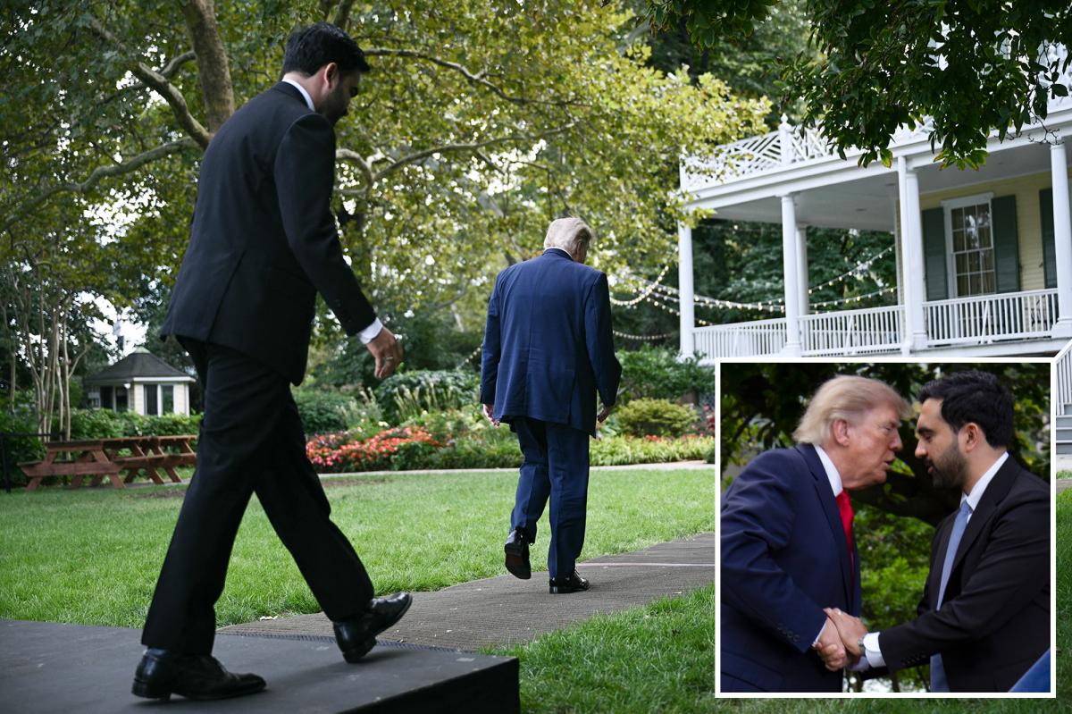 Lip reader shares Trump's offer to Zohran Mamdani after NYC meeting