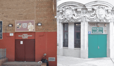 2 teens arrested for bringing guns into Brooklyn and Bronx schools