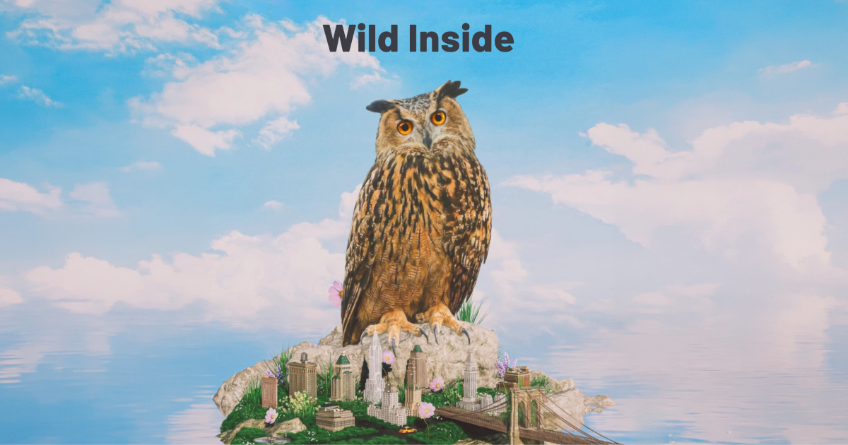 Wild Inside - the story of notable New Yorker Flaco the owl