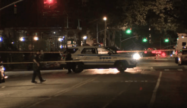 Man fatally stabbed multiple times in Brooklyn: NYPD