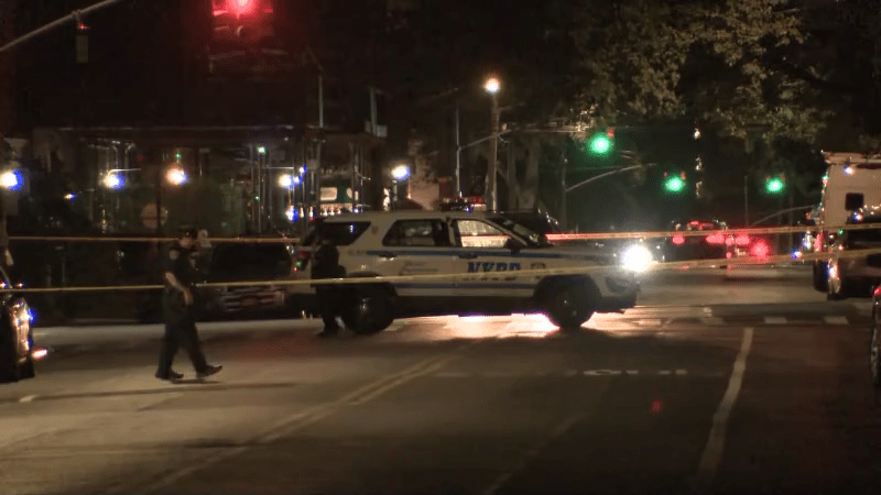 Man fatally stabbed multiple times in Brooklyn: NYPD