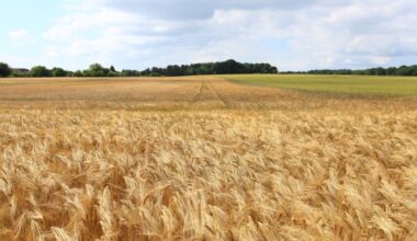Kansas Farm Bureau to Hold 108th Annual Meeting in Manhattan – Ad Astra Radio