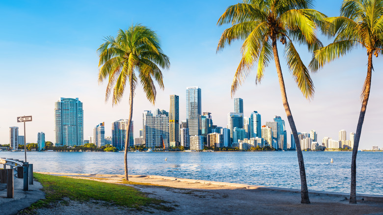 View of downtown Miami skyline with palm trees