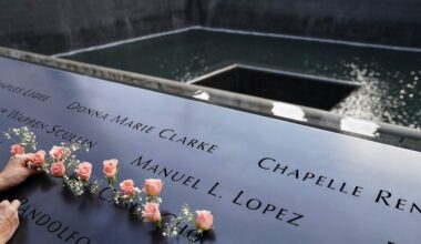 'Together We Grow' to plant 3,000 trees for 9/11